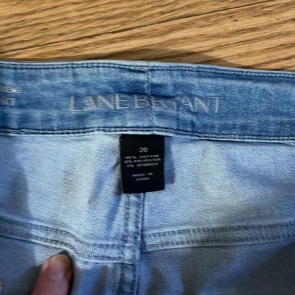Lane Bryant - Picture 3 of 3